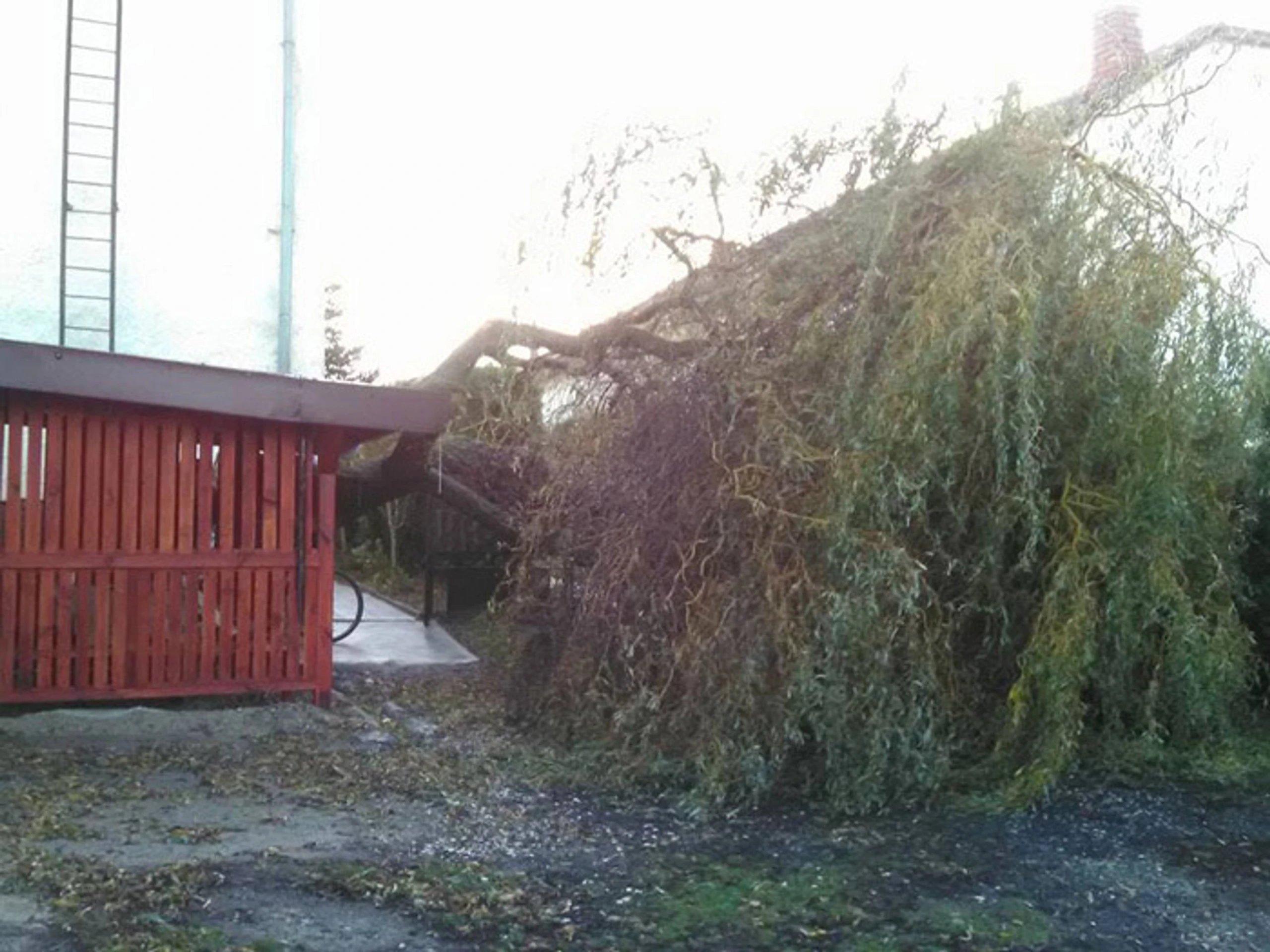 Oščadnica.