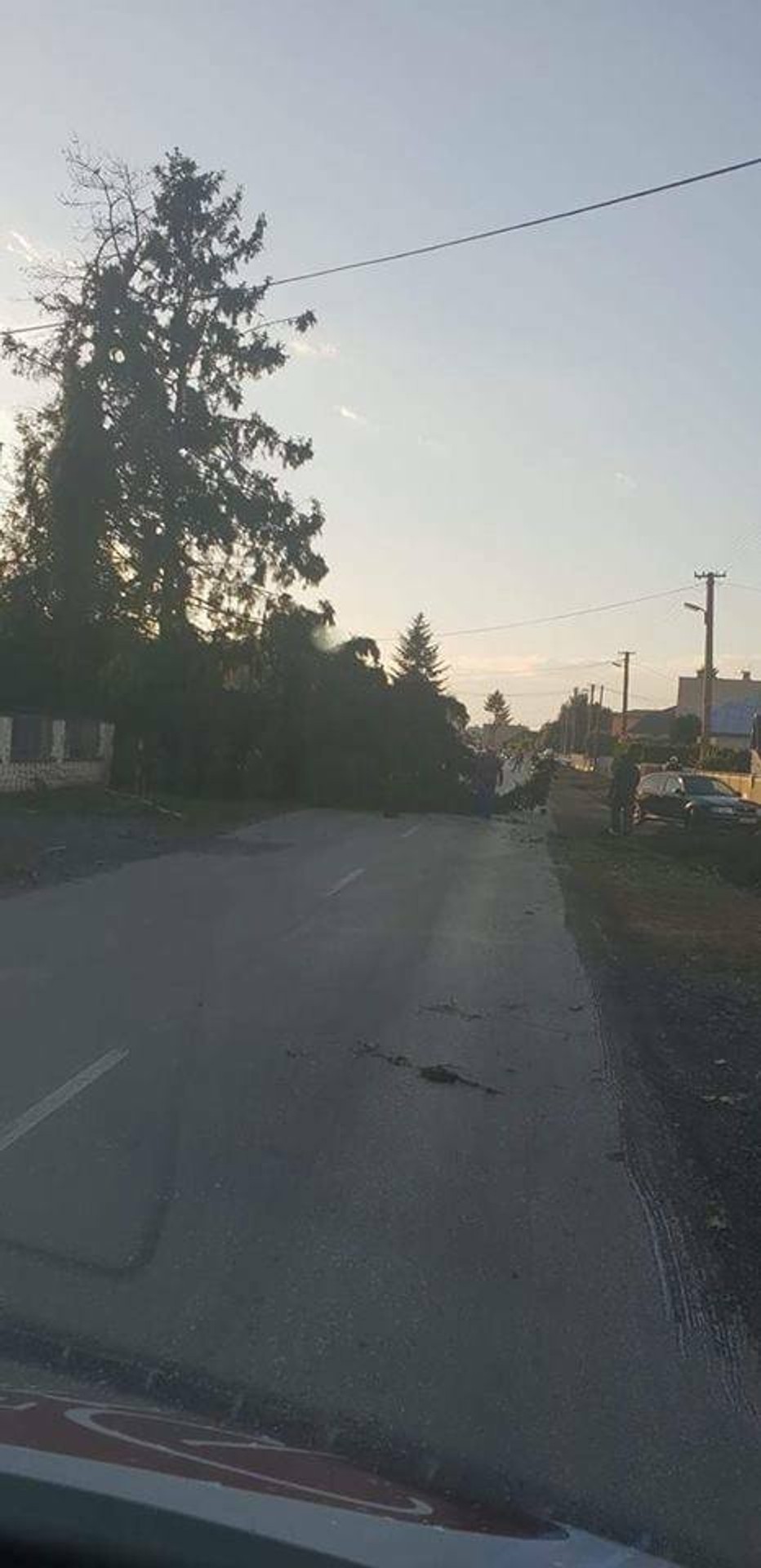 Spadnutý strom po smršti v obci Lekárovce.