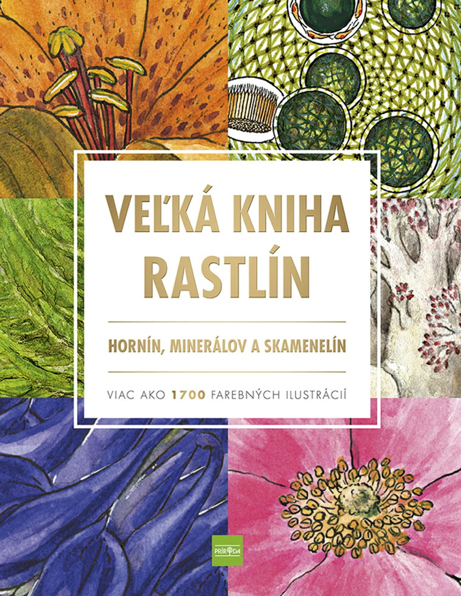 Obálka knihy.