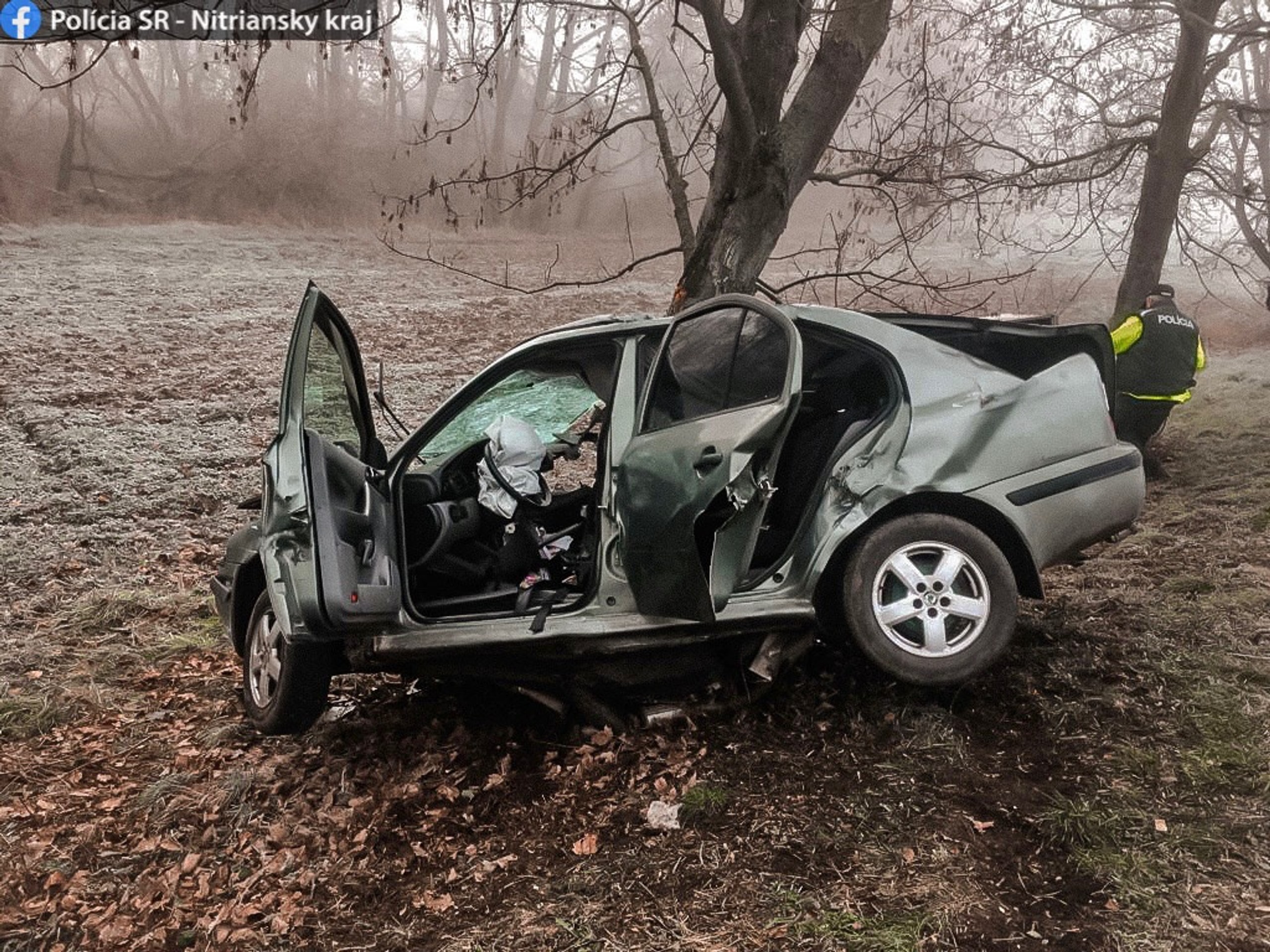 324095872_1366991447381261_380555832291815435_n