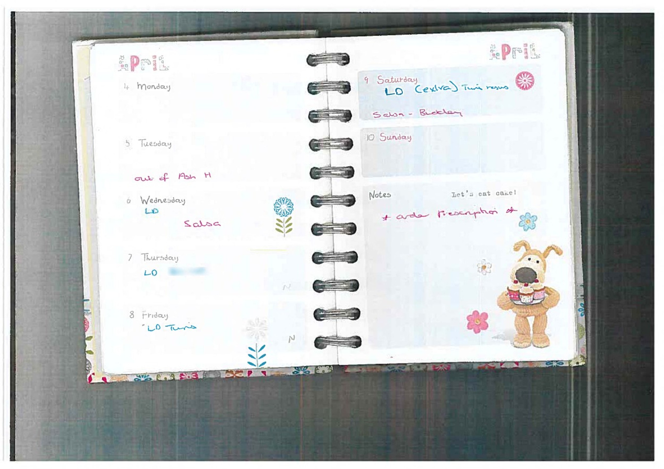 Denník zdravotnej sestry.