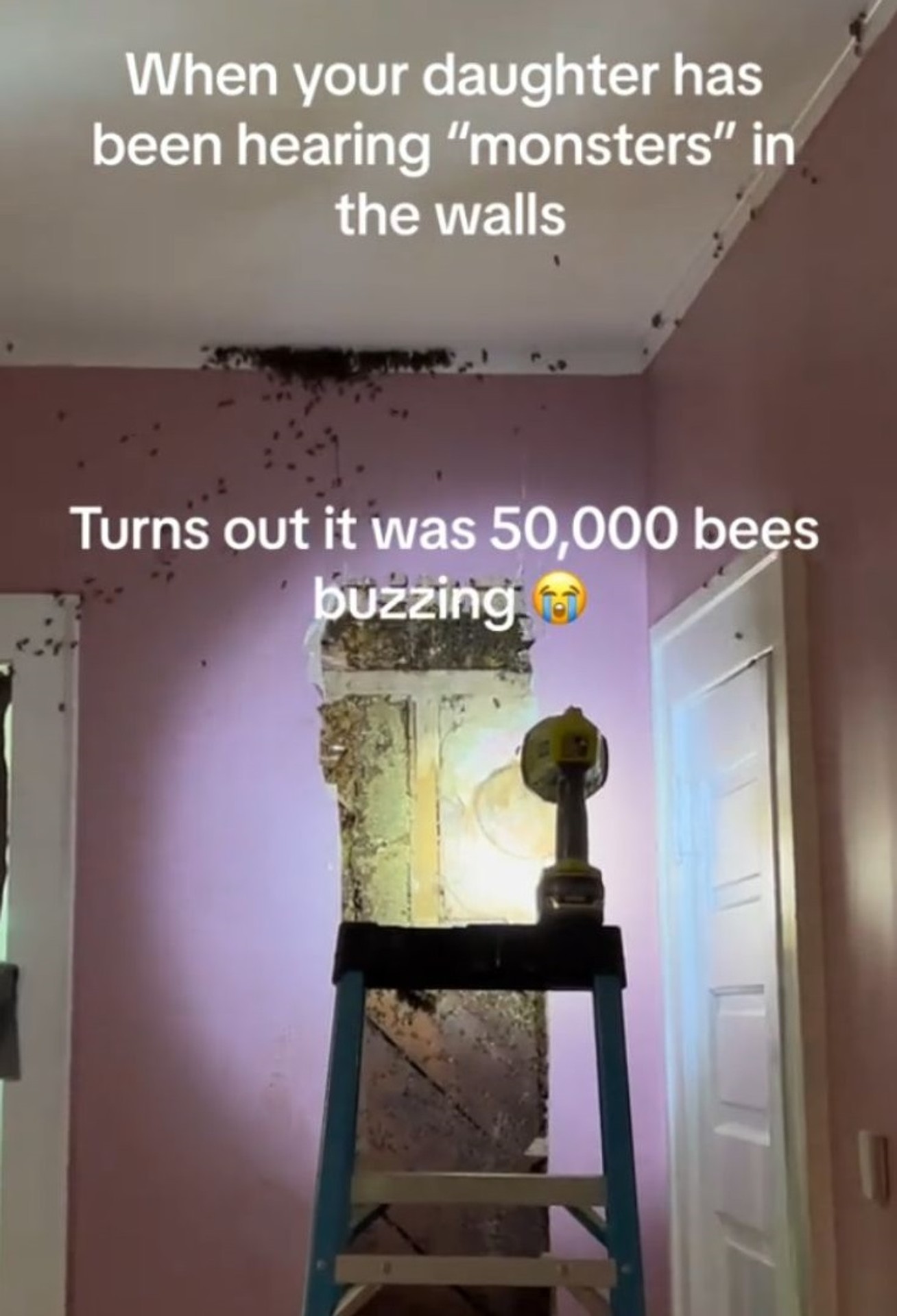 Včely sa usídlili v stene rodinného domu.